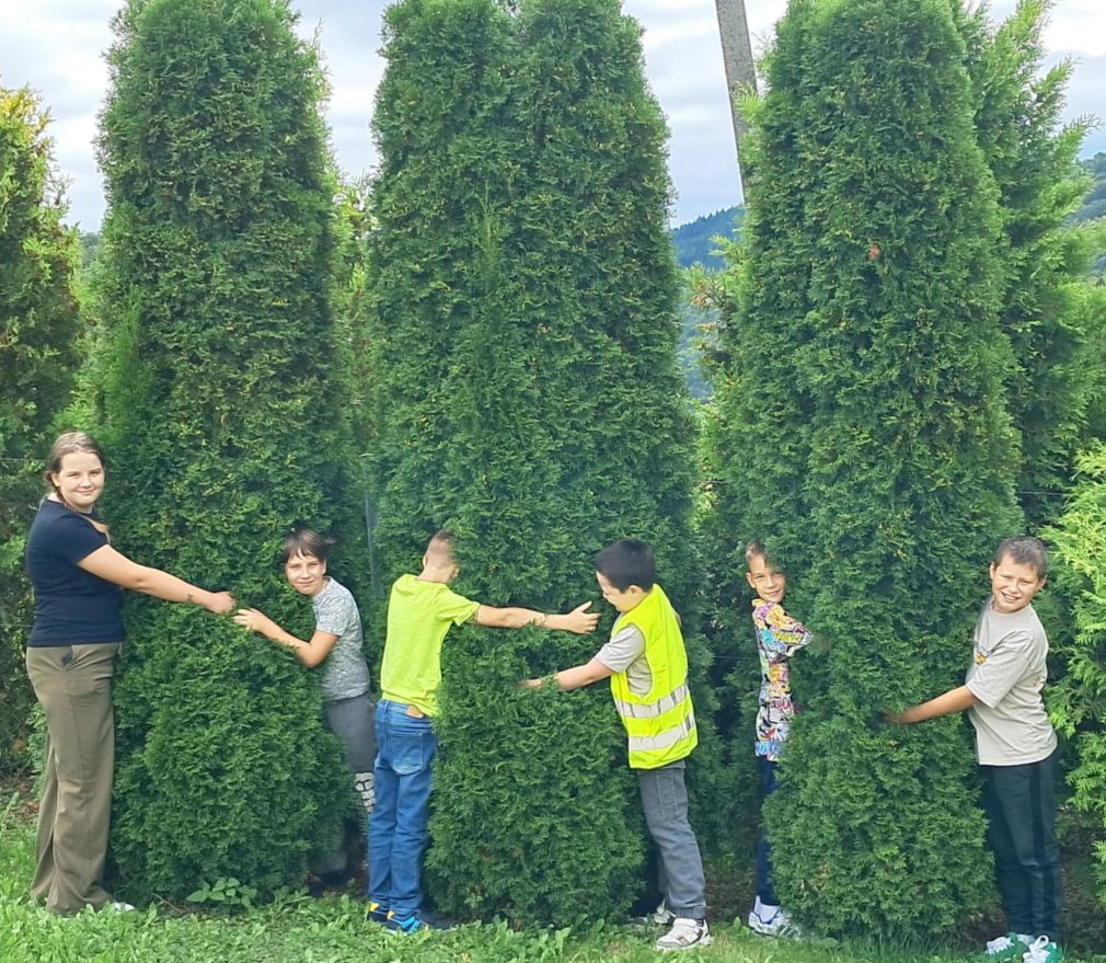 Przytul się do drzewa – akcja, która łączy z naturą